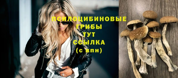 молекула духа Аркадак